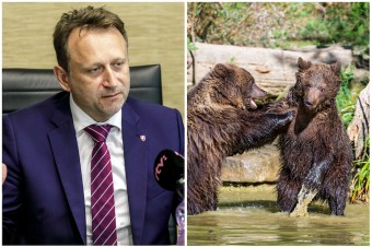 Európske aj slovenské právo pozná viacero možností manažovania počtu medveďa