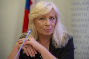 Ak koalícia nebude spolupracovať s fašistami, Sulík by sa odchodom posilnil