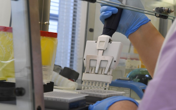 Švajčiarska farmaceutická spoločnosť Roche v pondelok oznámila, že spolu so svoj