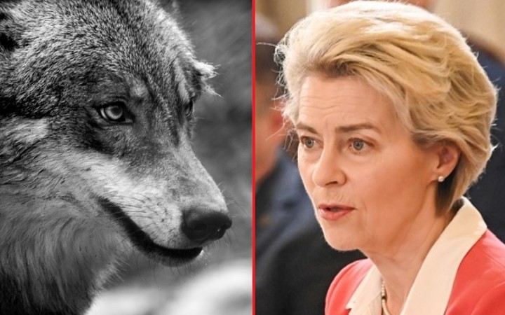 Ako sa chce predsedníčka eurokomisie pomstiť celému živočíšnemu druhu