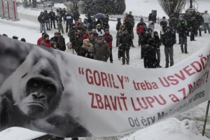 Gorila sa vracia