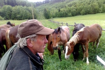 Príde Muránska planina o slovenské plemeno ťažného koňa?