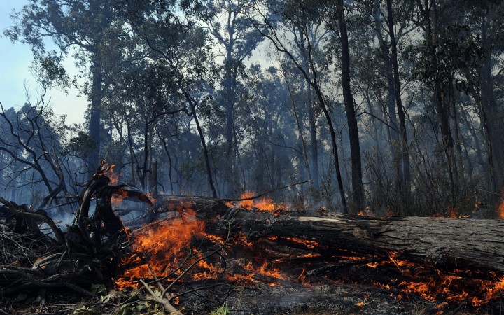Horúčavy v Austrálii sú najhoršie za posledné desaťročia