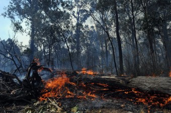 Horúčavy v Austrálii sú najhoršie za posledné desaťročia