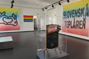 Čo prekážalo na výstave o inklúzii v Slovenskom národnom múzeu