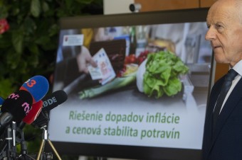 Zo dňa na deň to nejde, cestou je dlhodobá pomoc domácej produkcii