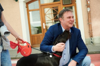 Beda rakúskym červeným, ktorí už neovládajú ani základy matematiky