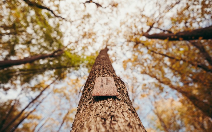 Pozostalí už nechcú nosiť vence ani stavať pomníky