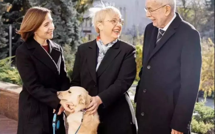 Pes moldavskej prezidentky pohrýzol prezidenta Rakúska, utrpel len malé zranenie