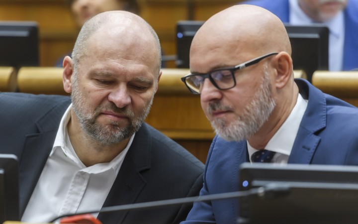 Podľa Gröhlinga by mal Sulík v SaS ostať ako ekonomický garant