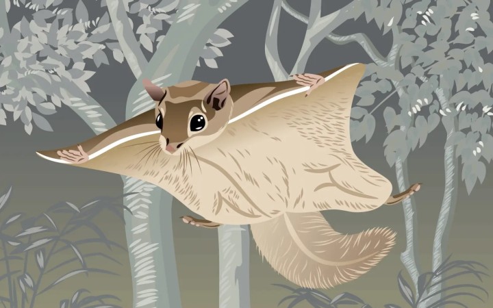 Poletuchy