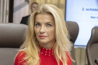 Šimkovičová odkladá zákon, chce si počkať na legislatívnu radu vlády