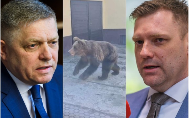 Ráno Taraba oznámil odstrel medvedice na Liptove, následne Fico predstavil boj proti „macom“