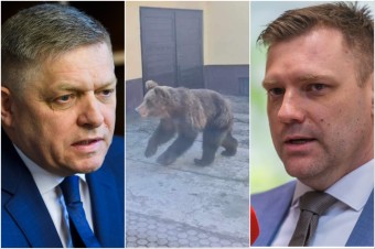 Ráno Taraba oznámil odstrel medvedice na Liptove, následne Fico predstavil boj proti „macom“