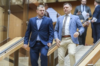 Ficova vláda pomáha Pellegrinimu v kampani ďalším populistickým nápadom