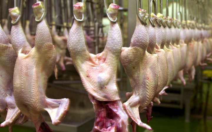 Polovica hydiny v nemeckých supermarketoch obsahuje nebezpečné baktérie