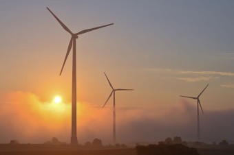 V Holandsku chcú pomocou kamier zistiť, koľko vtákov zabijú veterné turbíny
