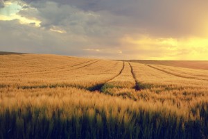 Beňovci, tajná Cirkev a sloboda