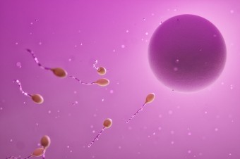 Tému neplodnosti sme rozobrali bez skratiek a do hĺbky