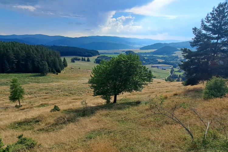 Trochu iný pohľad na dôvod Máriinej návštevy u Alžbety