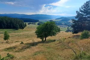 Trochu iný pohľad na dôvod Máriinej návštevy u Alžbety