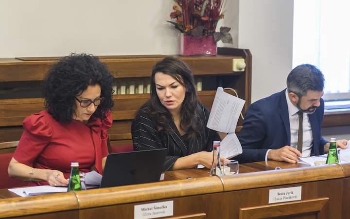 Mimovládky spájajú ľudí, ktorí nastavujú zrkadlo neschopným politikom. Chcú ho rozbiť