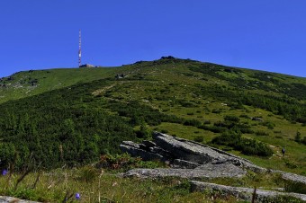 Plošným výrubom v národných parkoch musí odzvoniť, tvrdí Sólymos