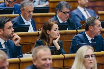 Spoluprácu so Smerom odmieta väčšina hnutia, zhodujú sa Mikloško aj odídenkyňa Holečková