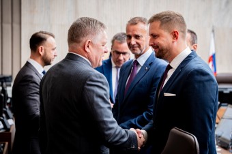 Nie je to kvantová fyzika. Treba začať centrálne riadiť podľa vzoru súkromníka
