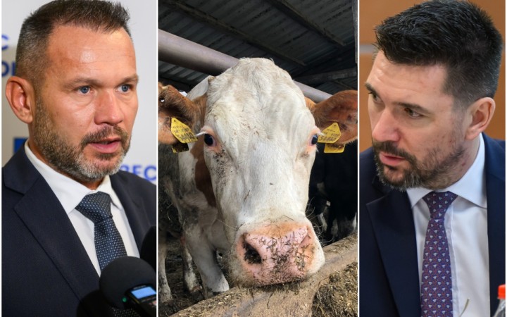 Becík z Hlasu je proti zabíjaniu nenakazených kráv, ktoré nariadil Takáč zo Smeru