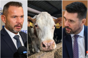 Becík z Hlasu je proti zabíjaniu nenakazených kráv, ktoré nariadil Takáč zo Smeru