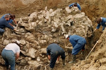 Holandský Najvyšší súd potvrdil čiastočnú zodpovednosť Holandska za Srebrenicu