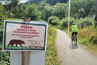 Dovolenkári sa pred cestou pýtajú aj na medvede, ale návštevnosť neklesá