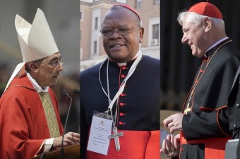 Konzervatívny papabile z Afriky chváli Františkove reformy, Müller vystríha pred zvolením heretika