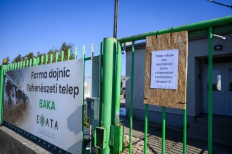 Epidémiu sme, zdá sa, zvládli. Na rade je spravodlivé odškodnenie zasiahnutých a investície do trvalej prevencie