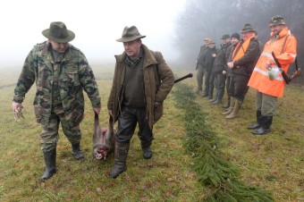 Africký mor sa šíri, veterinári nariadili usmrtiť diviačiu zver vo zverniciach