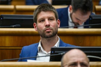 Trvanie na zákaze spaľovacích motorov, pre domácnosti a firmy „zelené dane“
