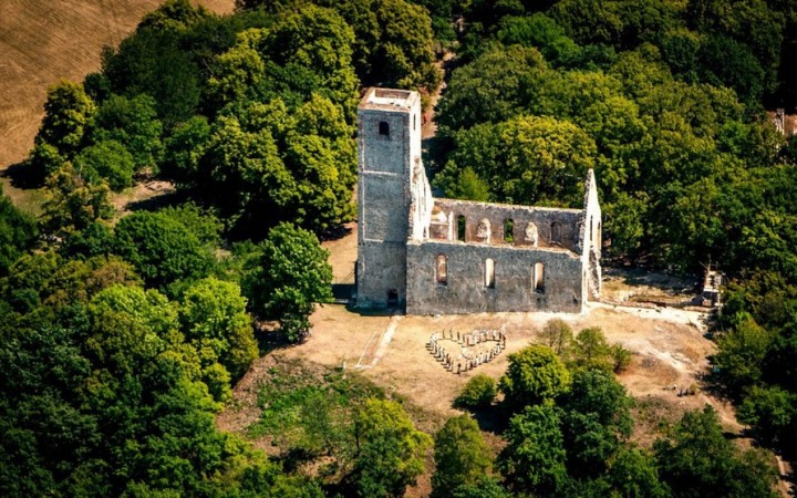 Katarínku zachraňujú dobrovoľníci už štvrťstoročie