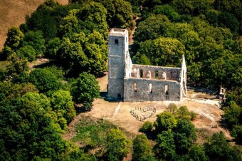 Katarínku zachraňujú dobrovoľníci už štvrťstoročie
