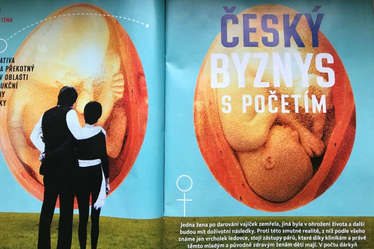 Biznis so ženskými vajíčkami