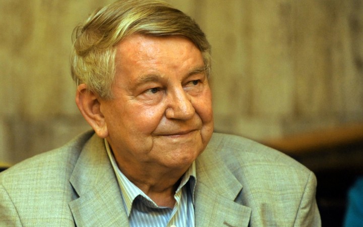 Horolezec (Jaroslav Rezník) 