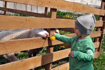Návrat k normálu alebo o detstve a šťastnej závislosti