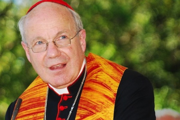 Salezián Tom