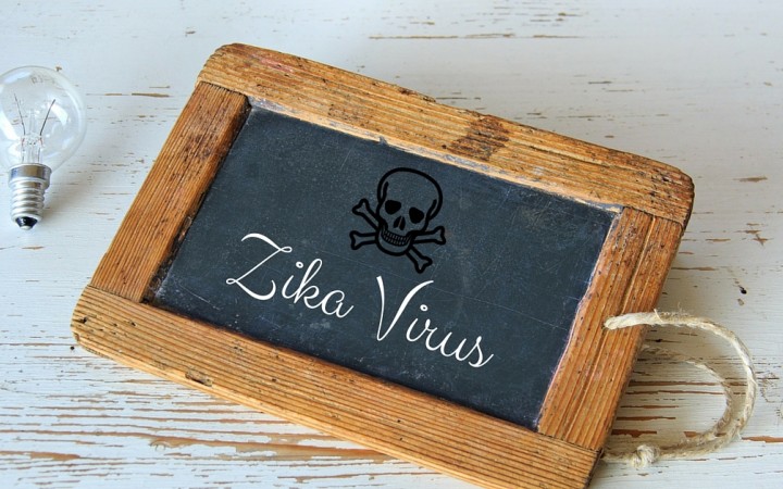 Ameriku ohrozuje zika, nakazeným ženám možno povolia potraty