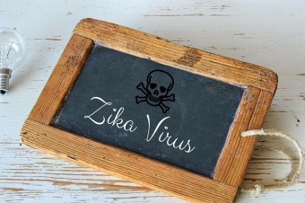 Ameriku ohrozuje zika, nakazeným ženám možno povolia potraty