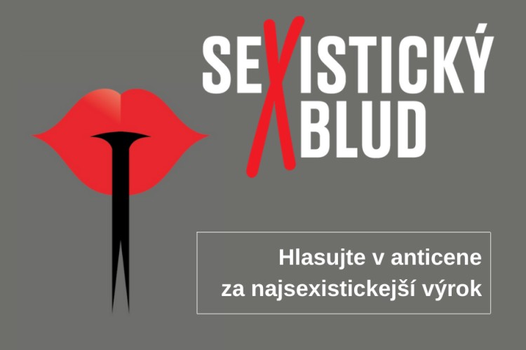 Bojujem o cenu Sexistický blud roka
