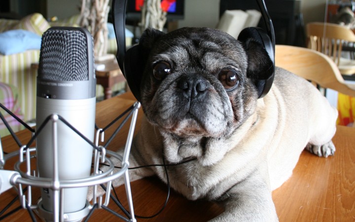 Kto ešte nemá podcast, nech sa prihlási u súdruha Žinčicu