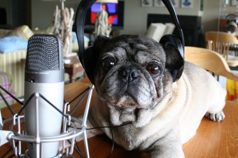 Kto ešte nemá podcast, nech sa prihlási u súdruha Žinčicu