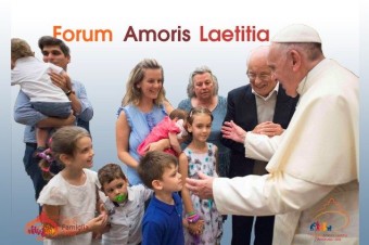 Vo Vatikáne riešili, v akom štádiu je aplikovanie Amoris laetitia
