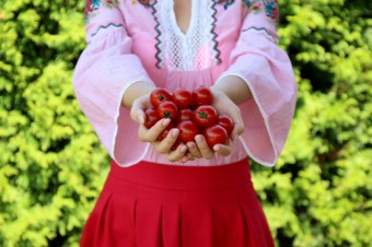Slovenskí farmári chcú zmeniť paradajkový trh 